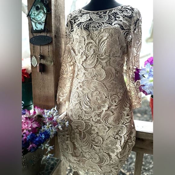 Adrianna Papell Elegant Palest Beige Lace Overlay Back Zip 3/4 Sleeves Dress 10 - Picture 5 of 11